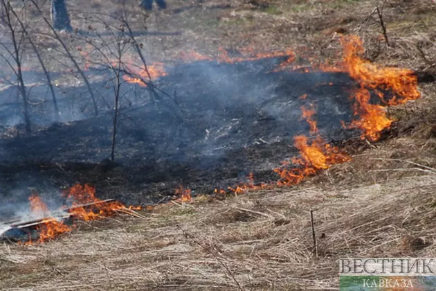 Юго-восток Казахстана объят природным пожаром